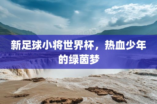 新足球小将世界杯，热血少年的绿茵梦漯河市盈旭机械设备有限公司