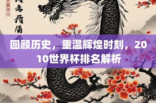 回顾历史，重温辉煌时刻，2010世界杯排名解析