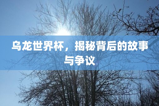 乌龙世界杯，揭秘背后的故事与争议