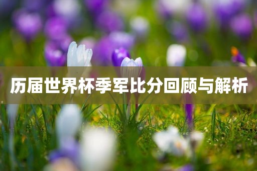 历届世界杯季军比分回顾与解析