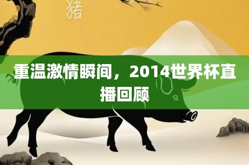 重温激情瞬间，2014世界杯直播回顾