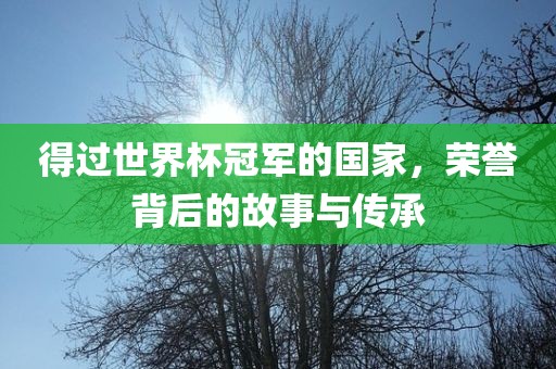 得过世界杯冠军的国家，荣誉背后的故事与传承