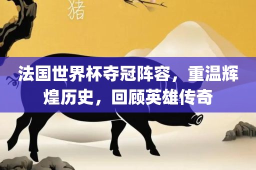 法国世界杯夺冠阵容，重温辉煌历史，回顾英雄传奇