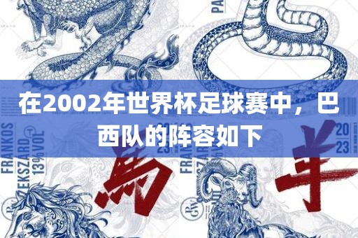 在2002年世界杯足球赛中，巴西队的阵容如下
