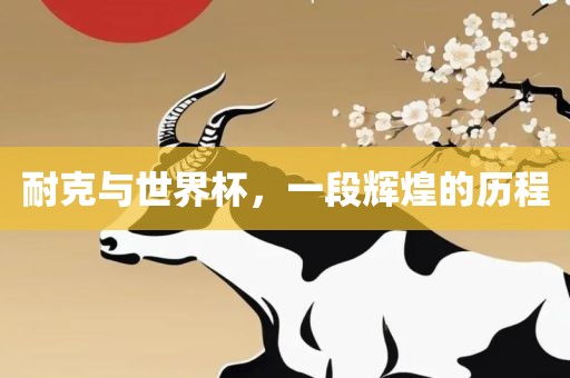 耐克与世界杯，一段辉煌的历程