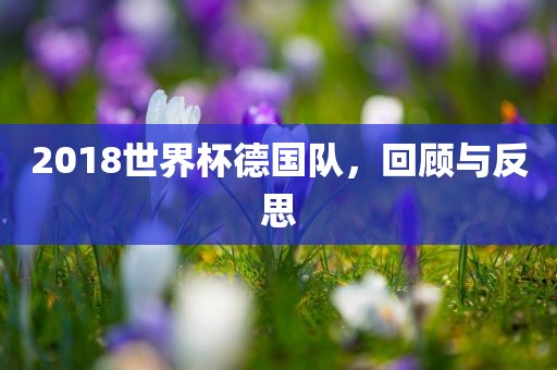 2018世界杯德国队，回顾与反思