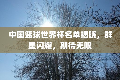 中国篮球世界杯名单揭晓，群星闪耀，期待无限