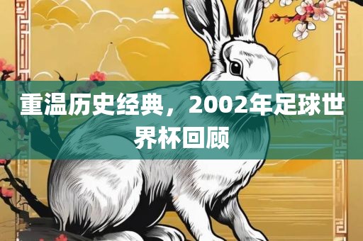 重温历史经典，2002年足球世界杯回顾