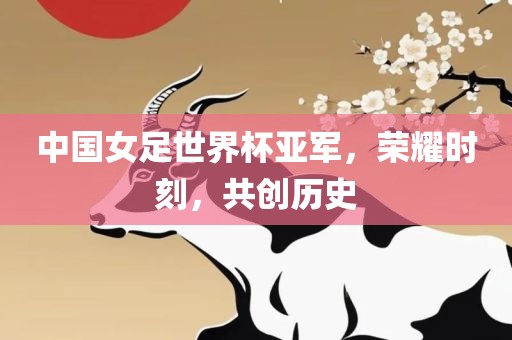 中国女足世界杯亚军，荣耀时刻，共创历史