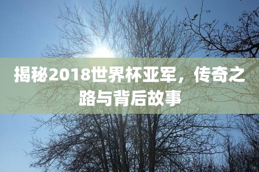 揭秘2018世界杯亚军，传奇之路与背后故事