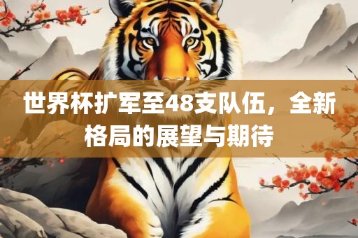 世界杯扩军至48支队伍，全新格局的展望与期待