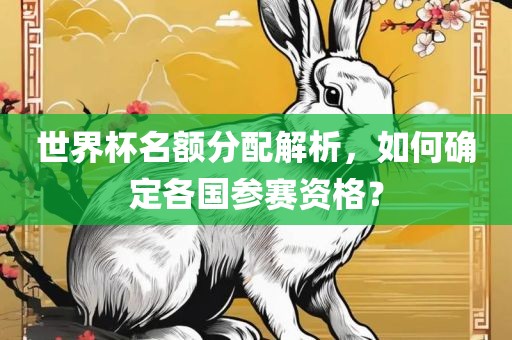世界杯名额分配解析，如何确定各国参赛资格？