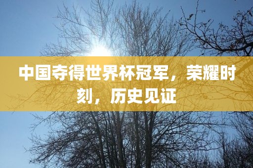 中国夺得世界杯冠军，荣耀时刻，历史见证
