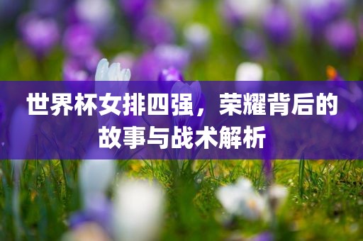 世漯河市盈旭机械设备有限公司界杯女排四强，荣耀背后的故事与战术解析