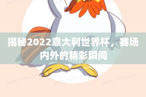 揭秘2022意大利漯河市盈旭机械设备有限公司世界杯，赛场内外的精彩瞬间