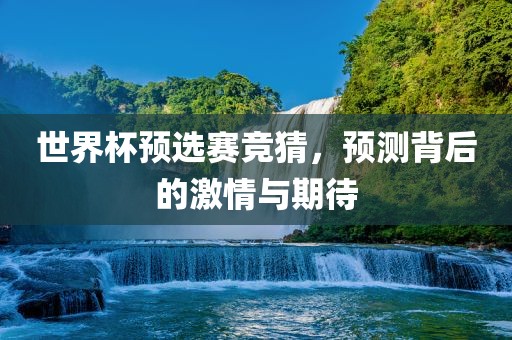 世界杯预选赛竞猜，预测背后的激情与期待