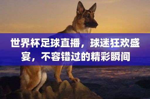 世界杯足球直播，球迷狂欢盛宴，不容错过的精彩瞬间