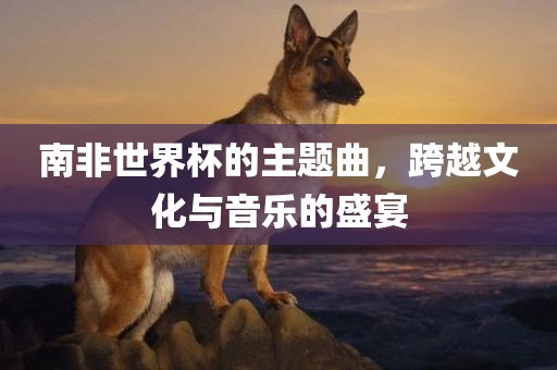 南非世界杯的主题曲，跨越文化与音乐的盛宴