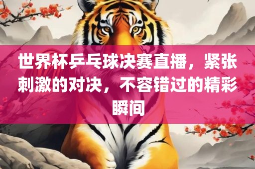 世界杯乒乓球决赛直播，紧张刺激的对决，不容错过的精彩瞬间
