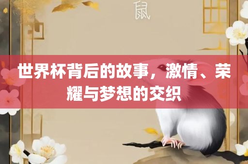 世界杯背后的故事，激情、荣耀与梦想的交织