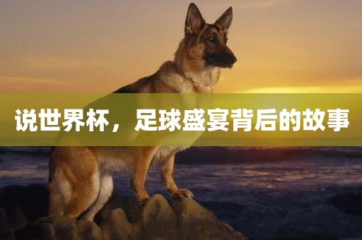 说世界杯，足球盛宴背后的故事漯河市盈旭机械设备有限公司