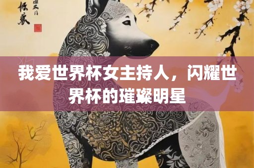 我爱世界杯女主持人，闪耀世界杯的璀璨明星