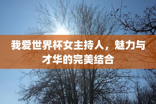 我爱世界杯女主持人，魅力与才华的完美结合