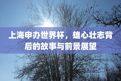 上海申办世界杯，雄心壮志背后的故事与前景展望
