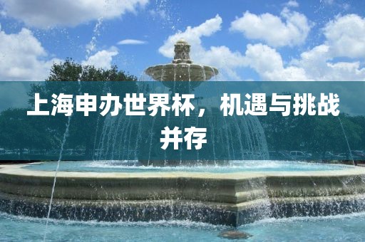上海申办世界杯，机遇与挑战并存