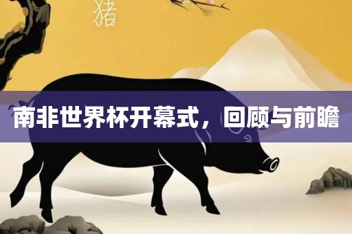南非世界杯开幕式，回顾与前瞻