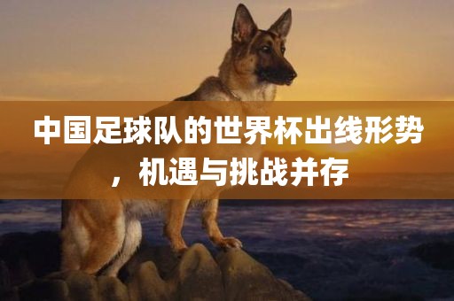 中国足球队的世界杯出线形势，机遇与挑战并存