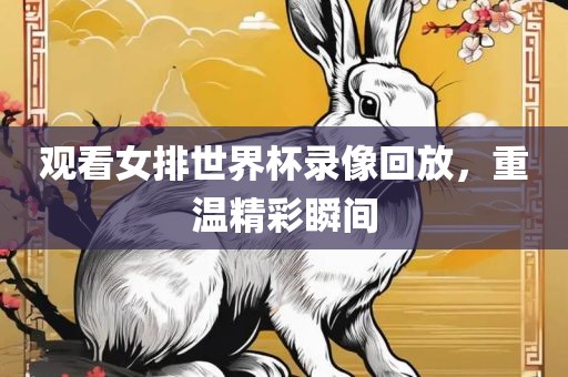 观看女排世界杯录像回放，重温精彩瞬间