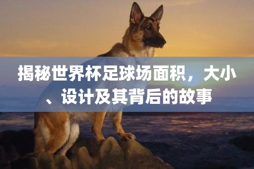 揭秘世界杯足球场面积，大小、设计及其背后的故事