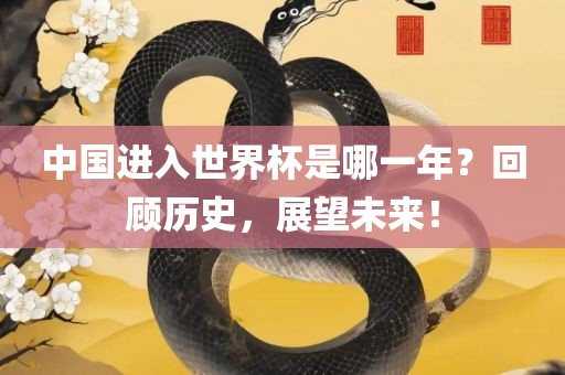 中国进入世界杯是哪一年？回顾历史，展望未来！