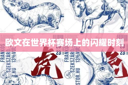 欧文在世界杯赛场上的闪耀时刻