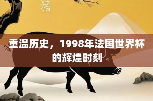 重温历史，1998年法国世界杯的辉煌时刻漯河市盈旭机械设备有限公司
