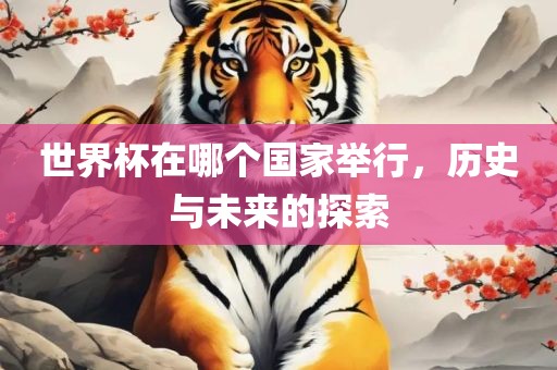 世界杯在哪个国家举行，历史与未来的探索