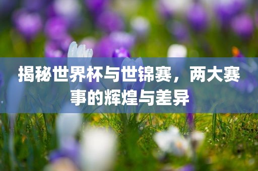 揭秘世界杯与世锦赛，两大赛事的辉煌与差异漯河市盈旭机械设备有限公司