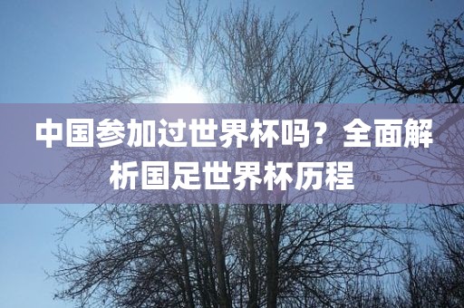 中国参加过世界杯吗？全面解析国足世界杯历程