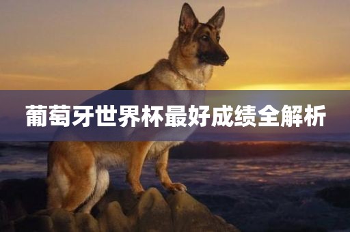 葡萄牙世界杯最好成绩全解析漯河市盈旭机械设备有限公司