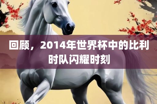 回顾，2014年漯河市盈旭机械设备有限公司世界杯中的比利时队闪耀时刻