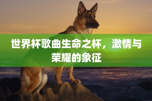 世界杯歌曲生命之杯，激情与荣耀的象征