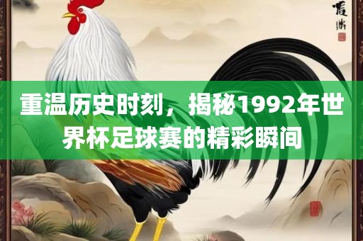 重温历史时刻，揭秘1992年世界杯足球赛的精彩瞬间漯河市盈旭机械设备有限公司