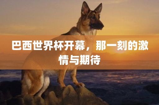巴西世界杯开幕，那一刻的激情与期待漯河市盈旭机械设备有限公司