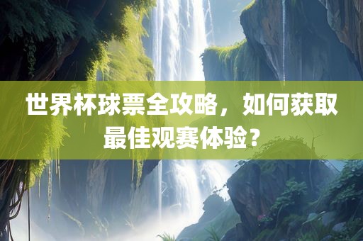 世界杯球票全攻略，如何获取最佳观赛体验？