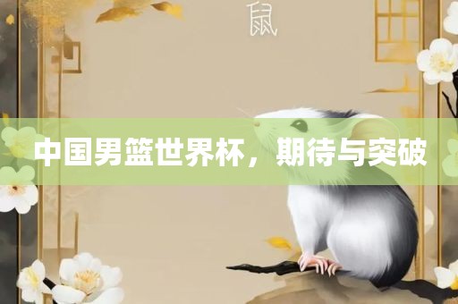 中国男篮世界杯，期待与突破