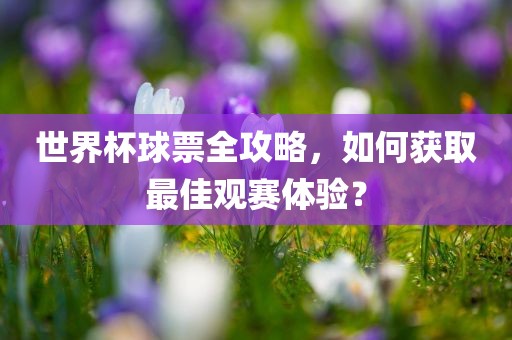 世界杯球票全攻略，如何获取最佳观赛体验？