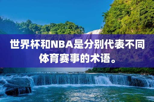 世界杯和NBA是分别代表不同体育赛事的术语。