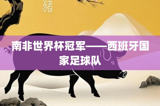 南非世界杯冠军——西班牙国家足球队
