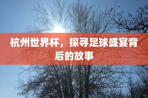 杭州世界杯，探寻足球盛宴背后的故事漯河市盈旭机械设备有限公司